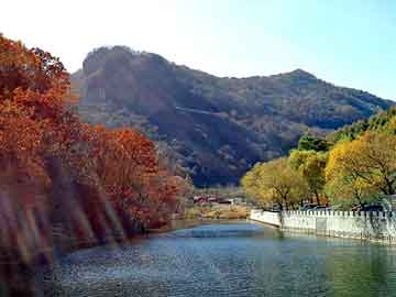 澳门一肖一码一待一中，佛山至山东物流